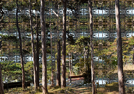 Bäume knien am Beginn des Himmels, 2018, C-Print, 70 x 100 cm